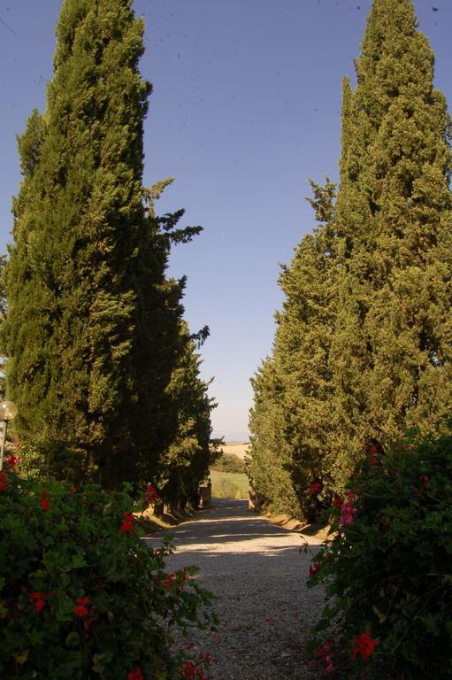 Agriturismo San Francesco Amalia&Anna Orciatico Esterno foto